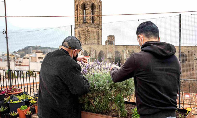 Testimonio del CECAS en el Diari de Barcelona