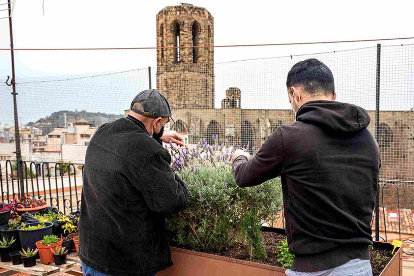 Testimonio del CECAS en el Diari de Barcelona