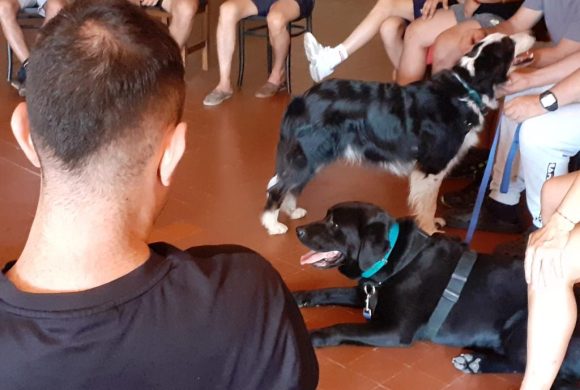 Terapia asistida con perros en la comunidad terapéutica