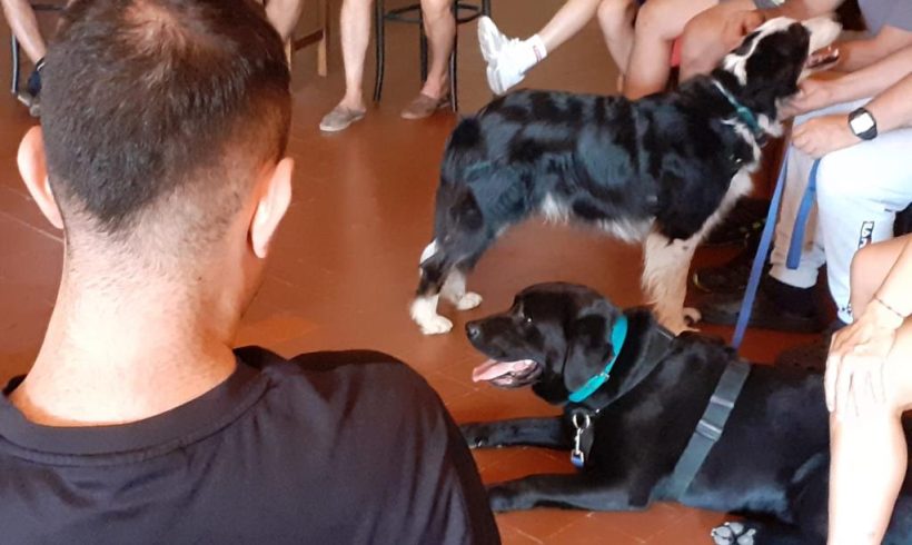 Terapia asistida con perros en la comunidad terapéutica