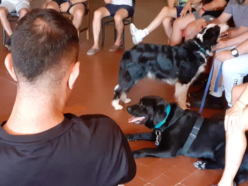 Terapia asistida con perros en la comunidad terapéutica